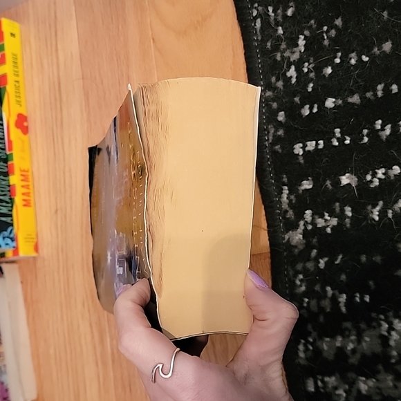 Winters Tale by Mark Helprin - Picture 3 of 4